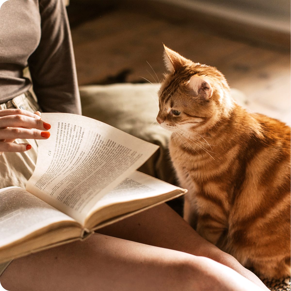 Cat sitting beside its owner reading