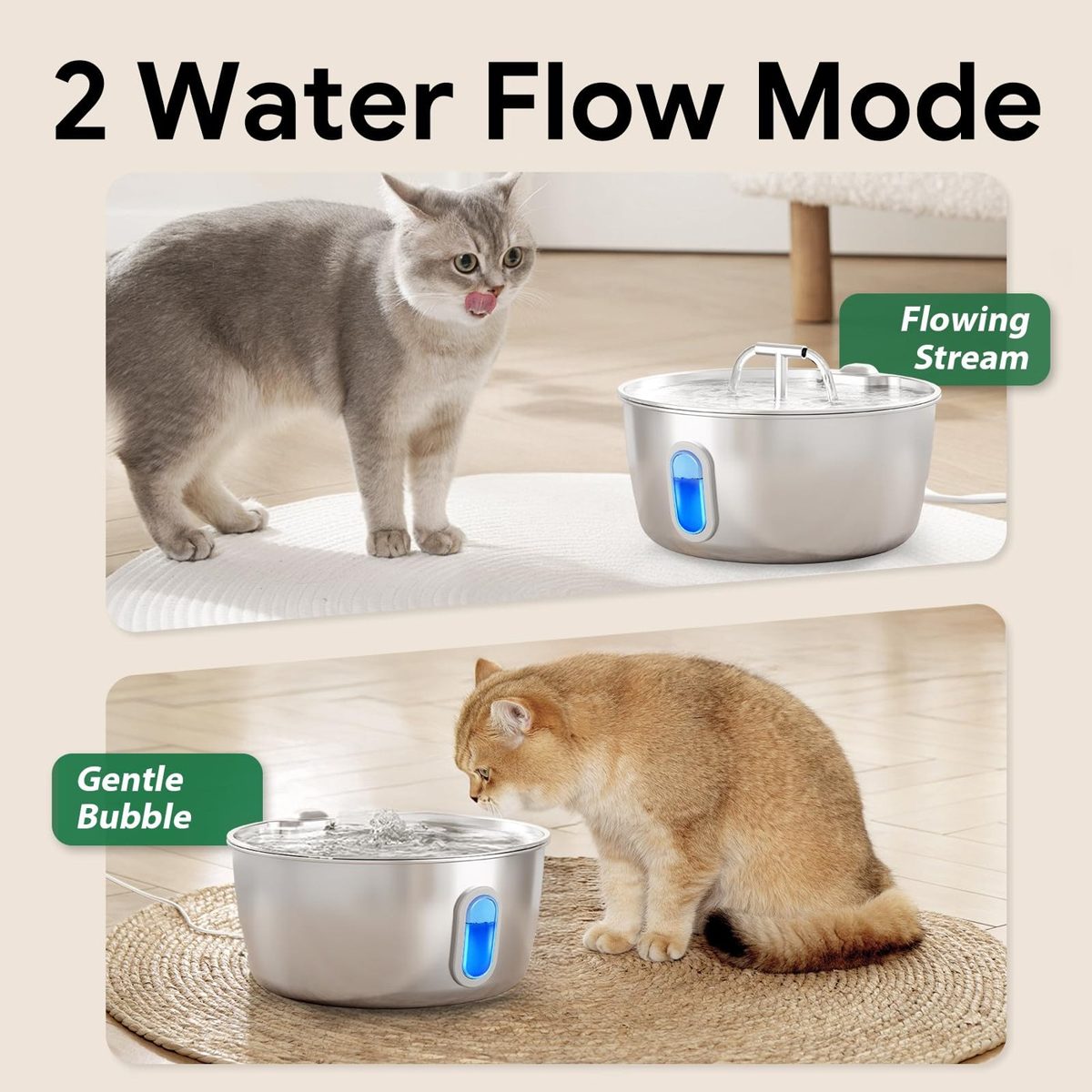 DIANU fountain in stream and bubble modes